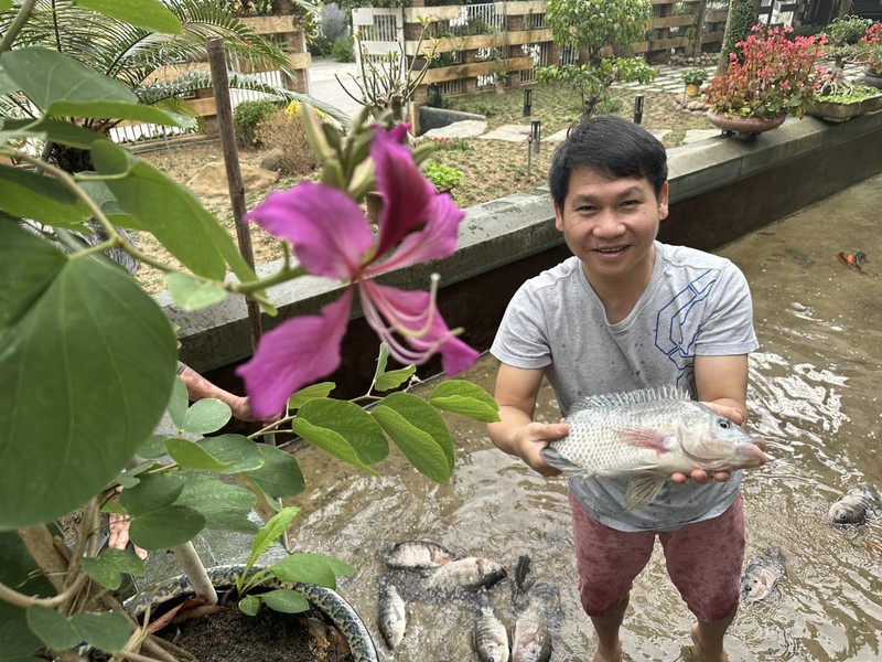 Nha vuon trong rau nuoi ga o Thanh Hoa cua ca si Trong Tan-Hinh-3