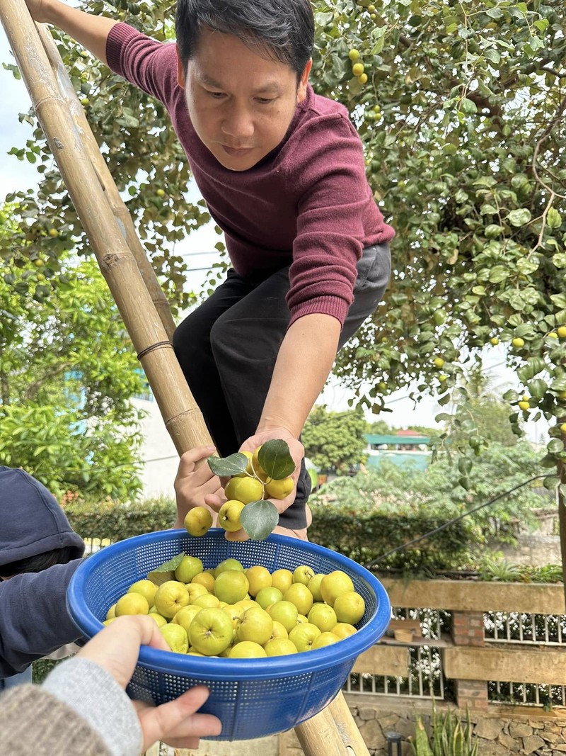 Nha vuon trong rau nuoi ga o Thanh Hoa cua ca si Trong Tan-Hinh-6