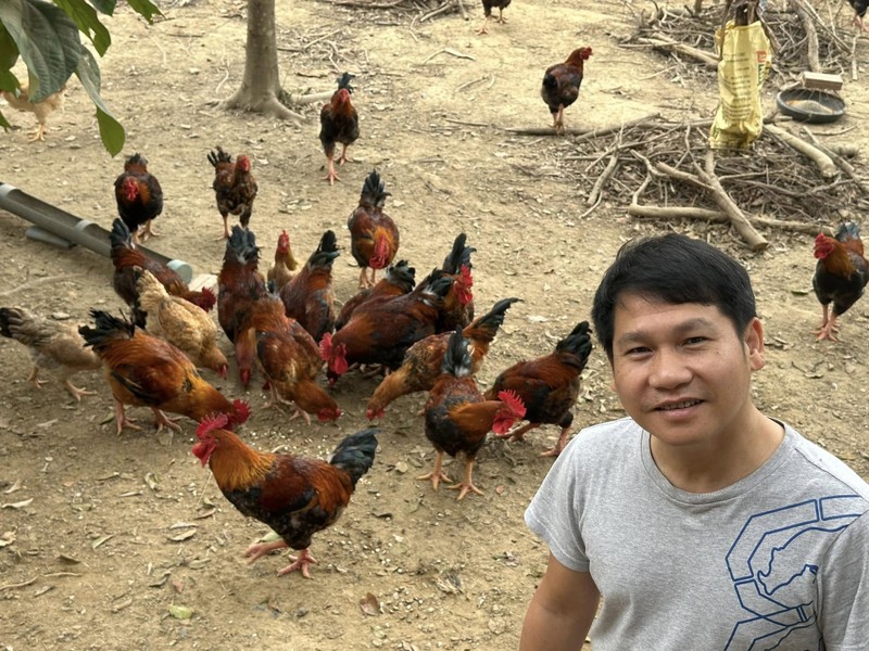 Nha vuon trong rau nuoi ga o Thanh Hoa cua ca si Trong Tan