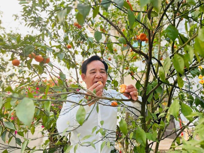 Can canh nha vuon 1.000m2 nhu “lau dai” cua nghe si Quang Teo-Hinh-10