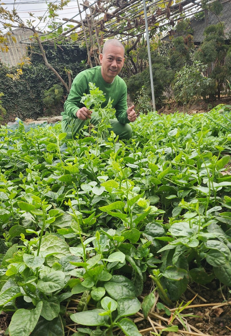 Can canh ngoi nha gian di o que cua dao dien Binh Trong-Hinh-4