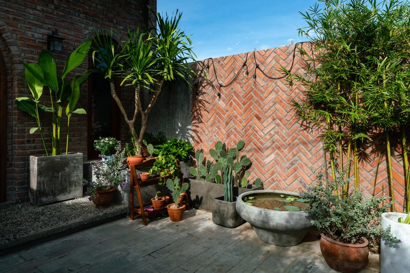 Thiet ke mat tien bong gio, nha pho dua nang gio khap nha-Hinh-11