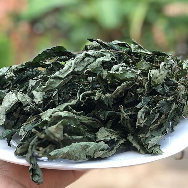 La cay chi co o Viet Nam, gia len toi 150 trieu dong/kg-Hinh-7