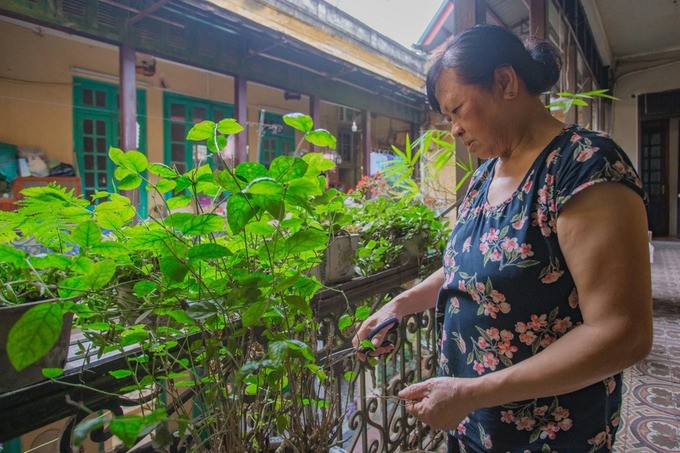 Biet thu go quy cua dai gia giau nhat pho co Ha Noi xua-Hinh-3