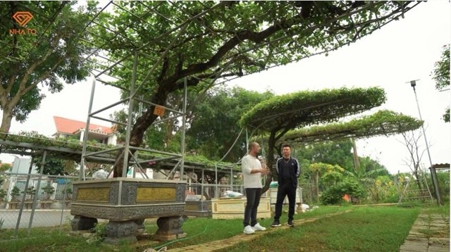 5 nam gom go, dai gia Thanh Hoa gay sot voi biet thu 300m2-Hinh-10