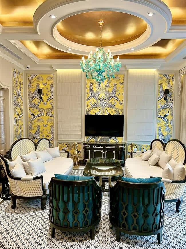 Toan canh biet thu 450m2 be the cua Doan Di Bang-Hinh-3