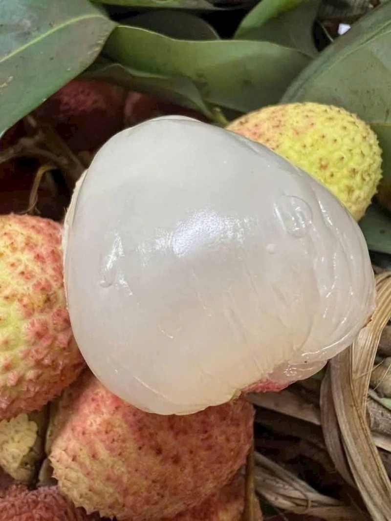 Vải u hồng đầu mùa đắt hơn sầu riêng vẫn “cháy hàng“ - Hình 4 Vai u hong dau mua dat hon sau rieng van “chay hang“-Hinh-4