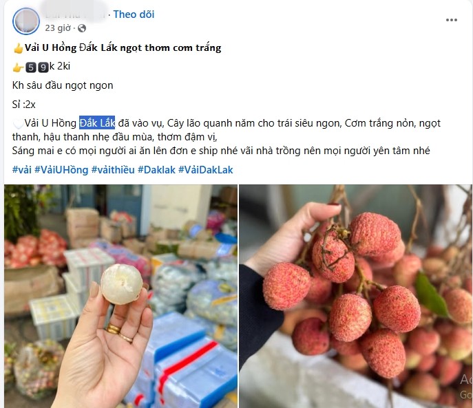 Vải u hồng đầu mùa đắt hơn sầu riêng vẫn “cháy hàng“ Vai u hong dau mua dat hon sau rieng van “chay hang“