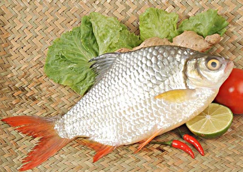 Loai ca suyt tuyet chung bat ngo hoi sinh gia tien trieu moi con-Hinh-8