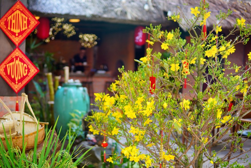 Can canh nha vuon 1.800m2 khong khac resort cua Johnny Tri Nguyen-Hinh-10