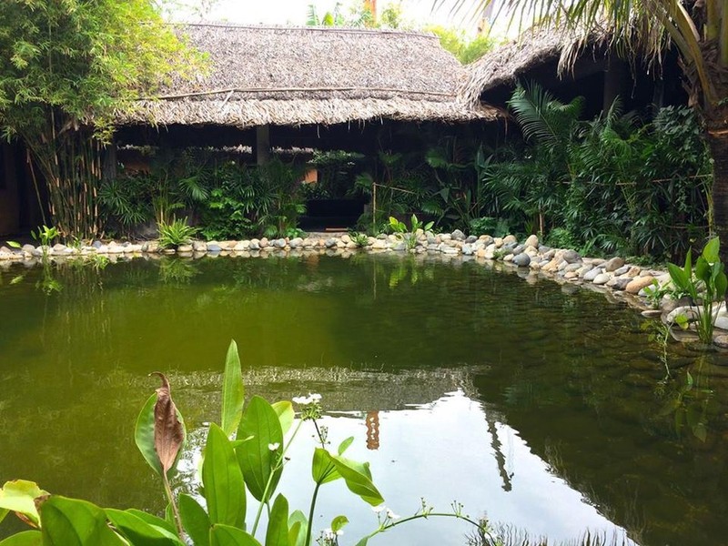 Can canh nha vuon 1.800m2 khong khac resort cua Johnny Tri Nguyen-Hinh-11