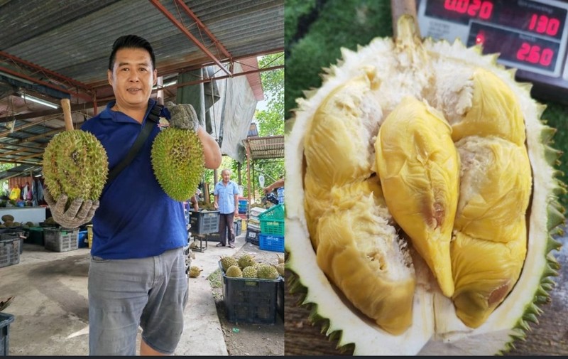 Giong sau rieng moi dang tao con sot toan chau A dat co nao?-Hinh-2