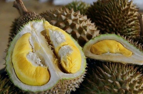 Giong sau rieng moi dang tao con sot toan chau A dat co nao?