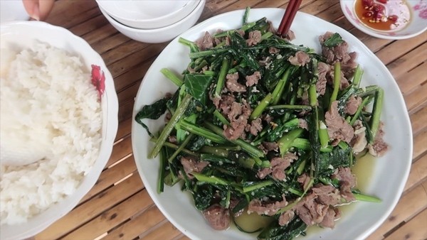 Cay dai o Viet Nam sang nuoc ngoai “dat nhu tom tuoi“-Hinh-6