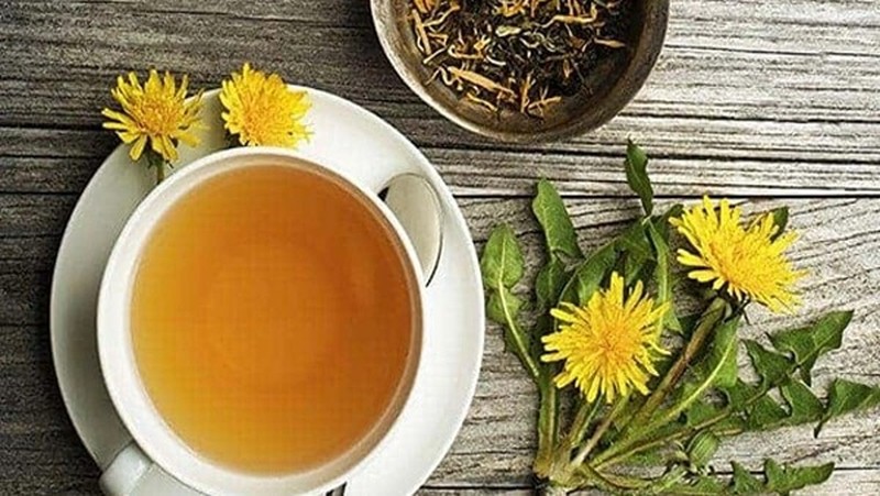 Cay dai o Viet Nam sang nuoc ngoai “dat nhu tom tuoi“-Hinh-9