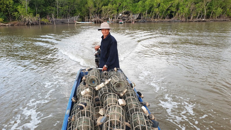 San cua da, nong dan Ca Mau co them thu nhap