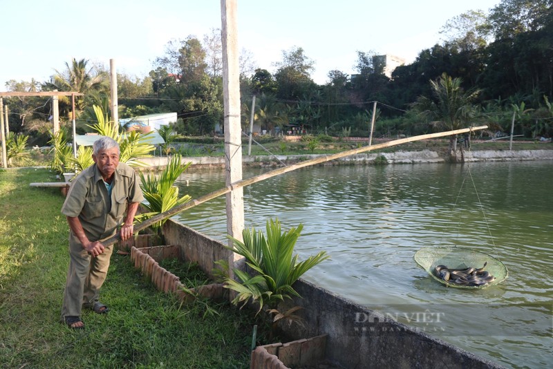 Nuoi 2 loai ca dac san, mot nong dan Kon Tum giau len