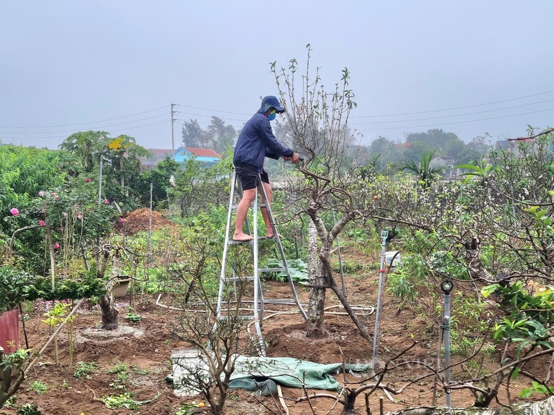 9X tiet lo bi quyet cham dao phai ra hoa dep me man-Hinh-3