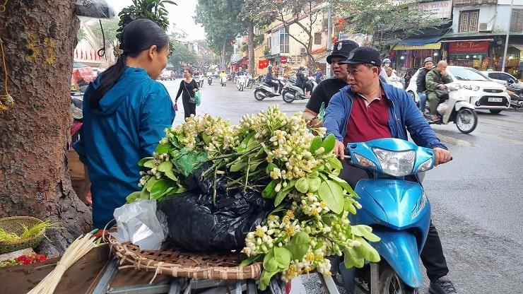 Hoa buoi duoc gia, nhieu chu vuon bo tui tien trieu moi ngay-Hinh-2