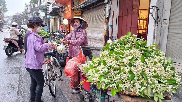 Hoa buoi duoc gia, nhieu chu vuon bo tui tien trieu moi ngay-Hinh-3