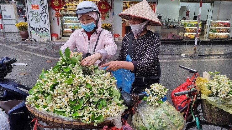 Hoa buoi duoc gia, nhieu chu vuon bo tui tien trieu moi ngay-Hinh-6