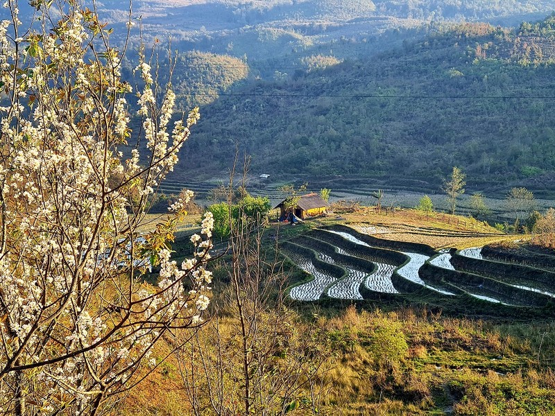 Den Y Ty, dam minh trong sac trang tinh khoi cua hoa son tra-Hinh-6