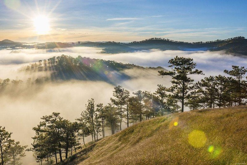 Da Lat, Da Nang, Tam Dao lot top nhung diem den thanh binh