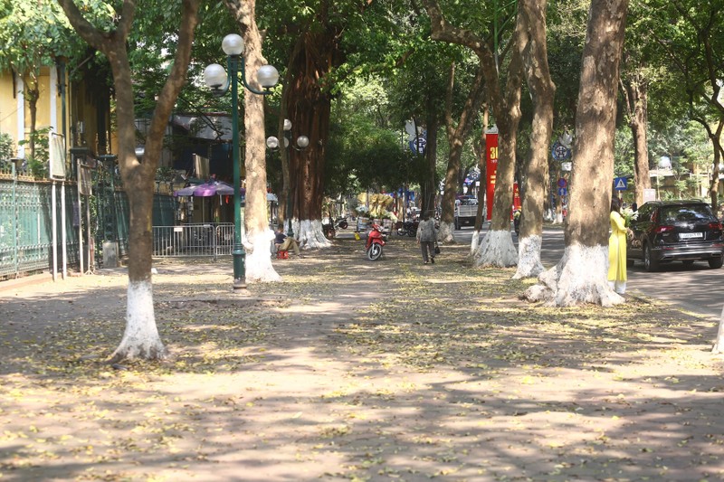 Ha Noi: Ngay dau nghi le, troi nong, cac diem vui choi vang hoe-Hinh-13