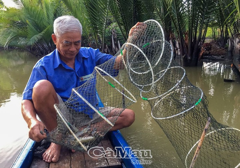 Nuoi tom quang canh cai tien 2 giai doan ung pho bien doi khi hau