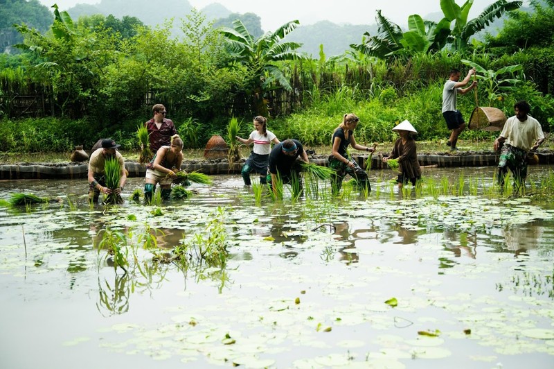 Nhieu hoat dong hap dan trong tour du lich cong dong o Ninh Binh-Hinh-2