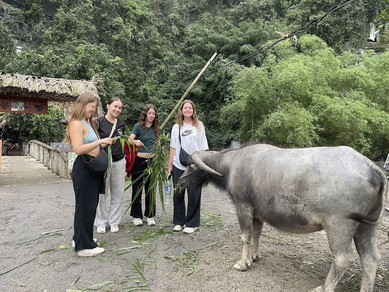 Nhieu hoat dong hap dan trong tour du lich cong dong o Ninh Binh-Hinh-4