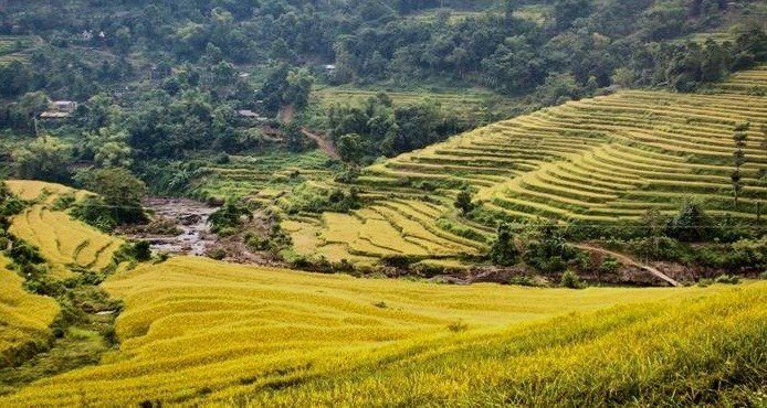 Kham pha thao nguyen xanh Mien Doi - Nang tho cua xu Muong