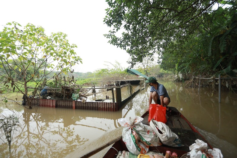 Mua ngap, nguoi dan bai giua song Hong phai di lai bang thuyen-Hinh-10