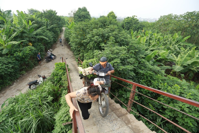 Mua ngap, nguoi dan bai giua song Hong phai di lai bang thuyen-Hinh-14