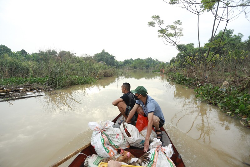 Mua ngap, nguoi dan bai giua song Hong phai di lai bang thuyen-Hinh-5