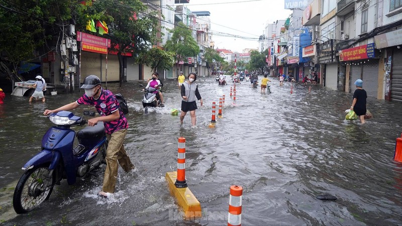 Hai Phong: Nhieu pho trung tam ngap sau, cay xanh do la liet-Hinh-3