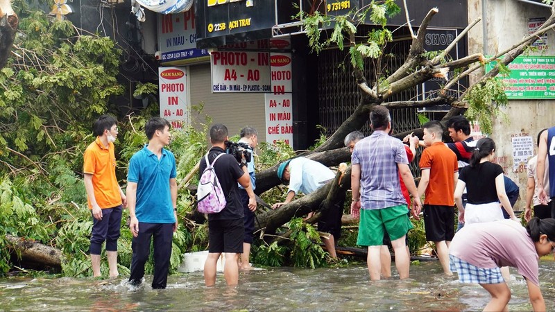 Hai Phong: Nhieu pho trung tam ngap sau, cay xanh do la liet-Hinh-8