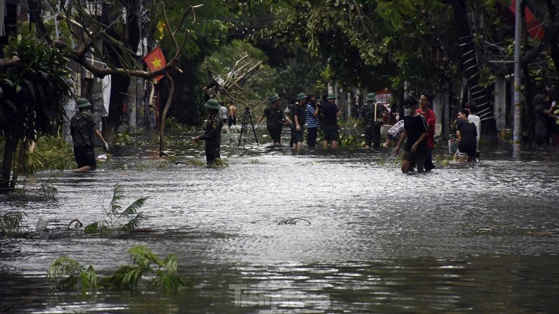 Hai Phong: Nhieu pho trung tam ngap sau, cay xanh do la liet