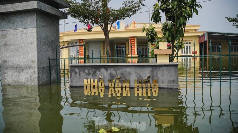 Hang tram ngoi nha o My Duc ngap sau, cuoc song nguoi dan dao lon-Hinh-15