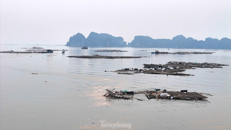 Long be tan hoang sau bao, Ha Long doi mat voi su co moi truong