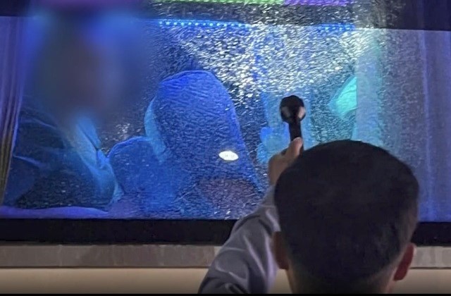 Nhiều xe khách bị ném vỡ kính trên cao tốc TP HCM Nhieu xe khach bi nem vo kinh tren cao toc TP HCM