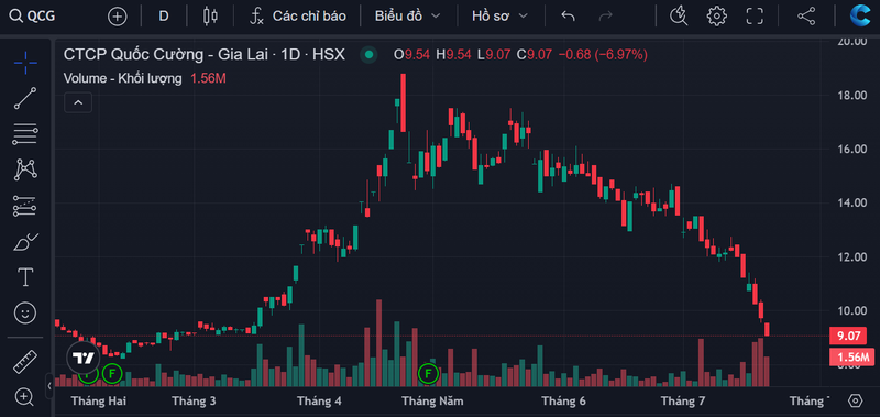 Ba Nguyen Thi Nhu Loan bi bat, co phieu QCG boc hoi the nao?