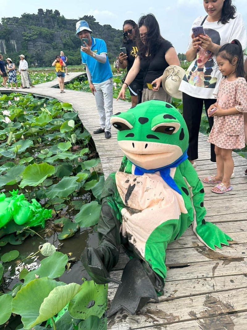 “Ech bao” chup sen song ao o Ninh Binh va cai ket nho doi-Hinh-4