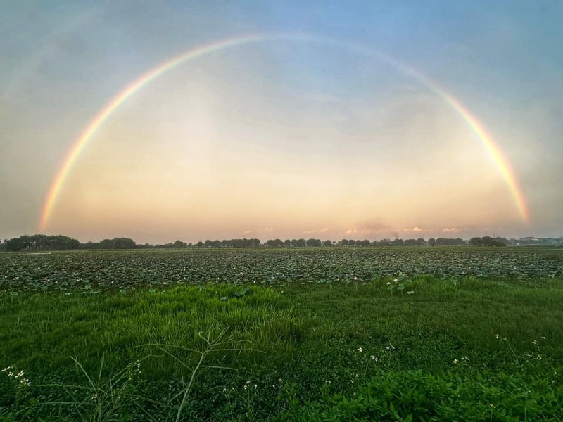 Cau vong doi xuat hien giua bau troi rang vang Ha Noi gay chu y-Hinh-10