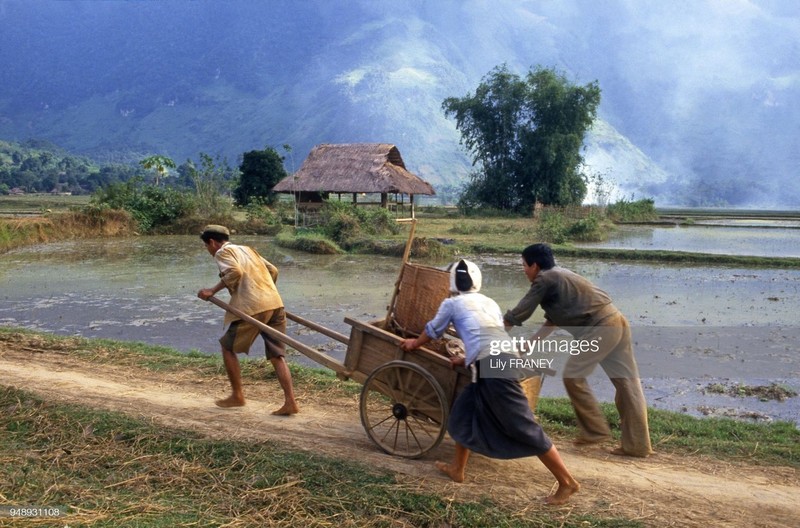 Bo anh lang que Viet Nam nam 1987 lam nhieu nguoi boi hoi-Hinh-11