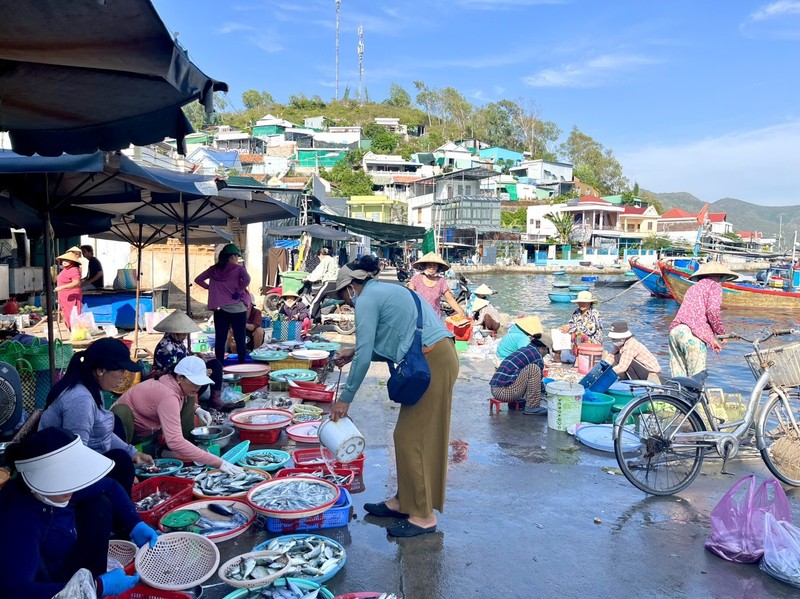 Kham pha ve dep binh di cua dao Tri Nguyen