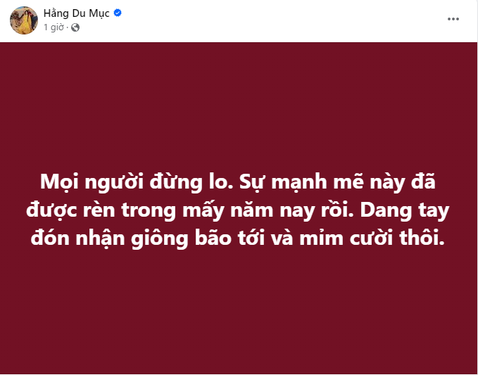 Hang Du Muc bi chong tung hinh anh nhay cam-Hinh-4