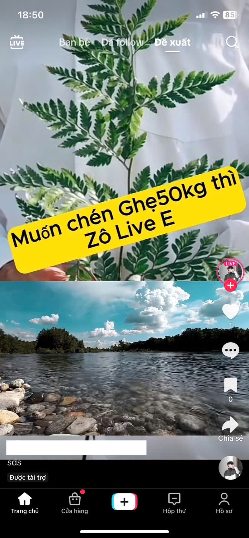 Nhieu tai khoan TikTok cong khai livestream “ban ghe 50kg”-Hinh-2