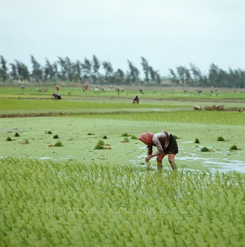 Loat anh mien Bac Viet Nam nhung nam 1972-1973-Hinh-9