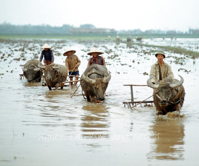 Loat anh mien Bac Viet Nam nhung nam 1972-1973